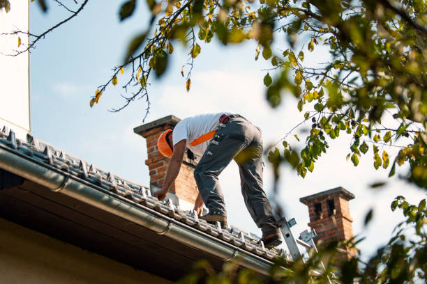 Best Roof Gutter Cleaning  in Floris, VA