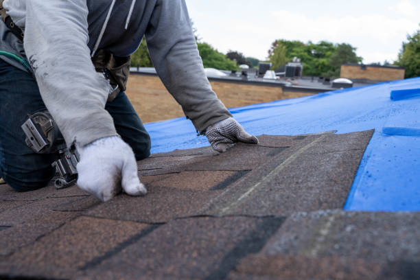 Best Residential Roof Replacement  in Floris, VA