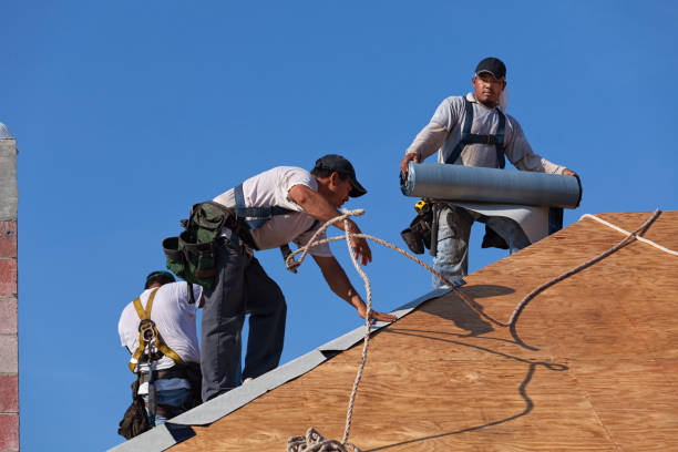 Best Storm Damage Roof Repair  in Floris, VA